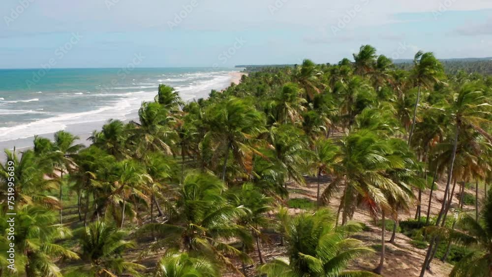 Aerial view of the Imbassai beach and a large green area of palm trees, Imbassai, Bahia, Brazil Aerial view of the Imbassai beach and a large green area of palm trees, Imbassai, Bahia, Brazil
