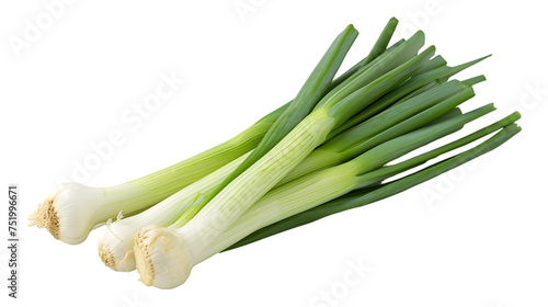 leek isolated on transparent background