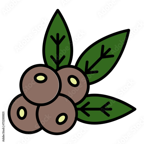   Maqui berries line filled icon