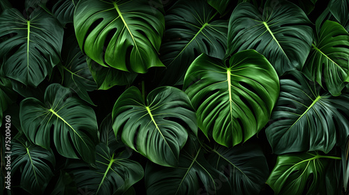 Dark botanical background tropical leaves faded bg