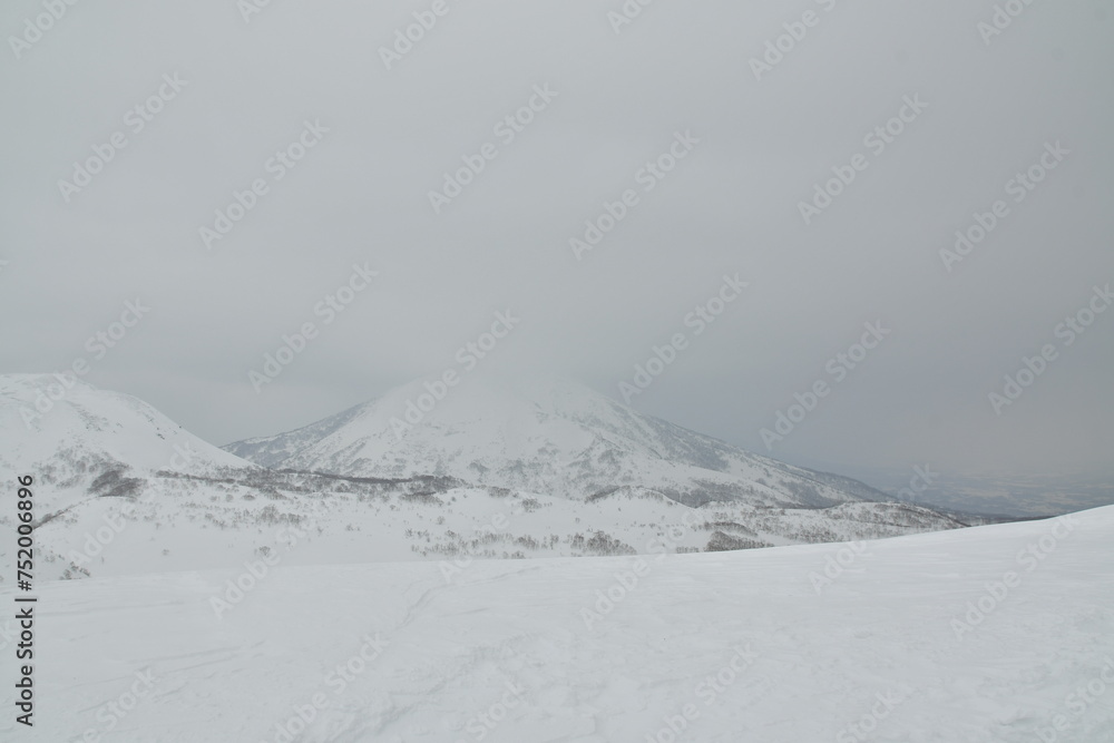 Hokkaido Japan winter Landscape Forest trees ski touring sport