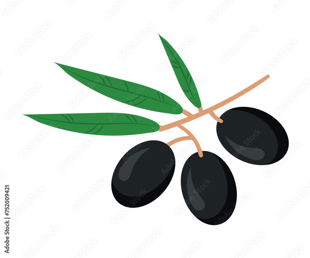 An olive branch. Vector illustration of black olives on a branch. An olive branch. Vector illustration of black olives on a branch.