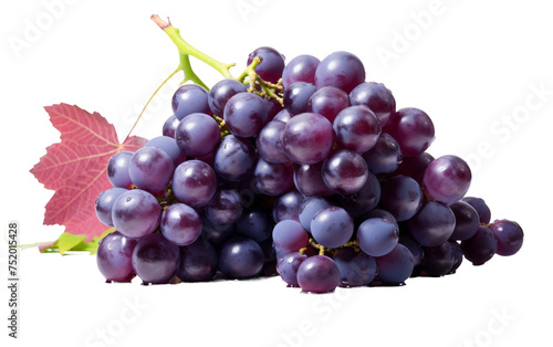 Succulent Purple Grapes on Display on white background