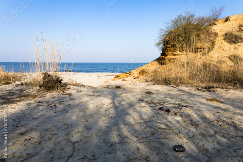 Fototapeta Naklejka Na Ścianę i Meble -  View of the beautiful landscape with the beach and sand dunes, the landscape of the coast.