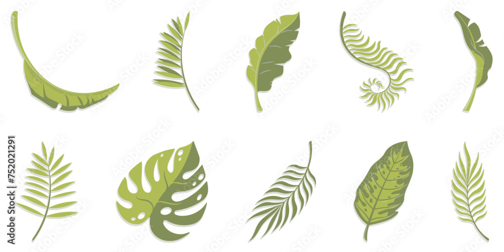 Tropical leaves Tropical leaves