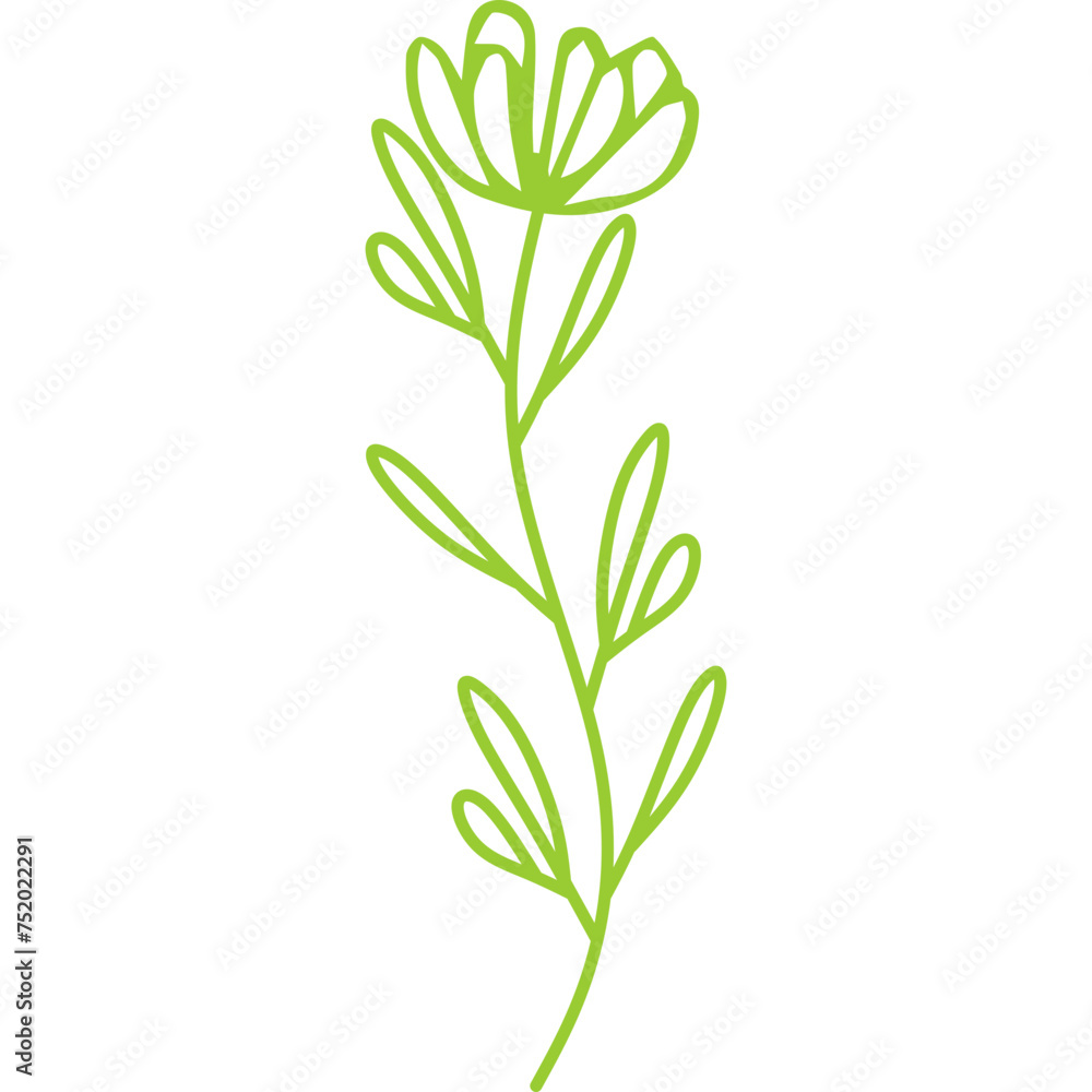 Line Decorative Flower Line Decorative Flower