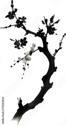 Cherry blossom flower branch  drawing of a Cherry blossom flower branch using the Japanese brushstroke technique.