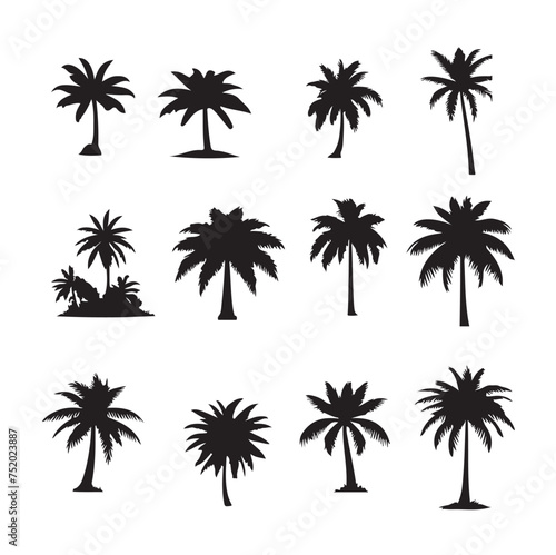 set of palm trees  Isolated palm on the white background. Palm silhouettes. 