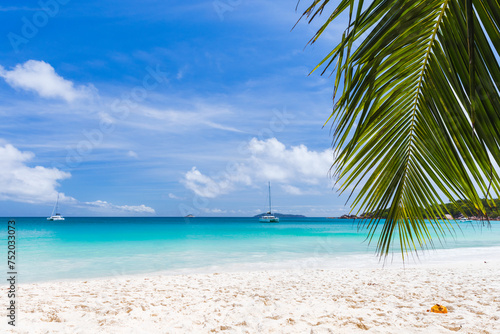 Fototapeta Naklejka Na Ścianę i Meble -  Coconut palm tree branch and white sand under blue cloudy sky on a sunny day. Anse Lazio