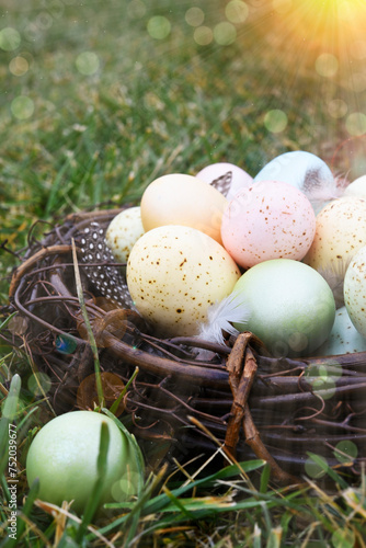 Easter nest and feathers with eggs on green grass. Sun rays.