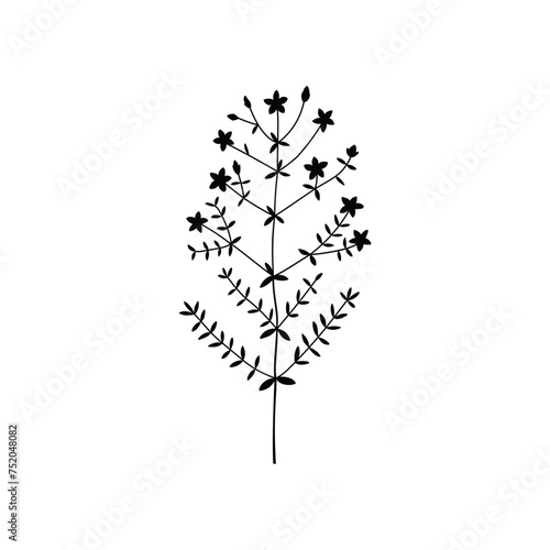 Vector hand-drawn illustration with wildflower silhouette. Collection of black minimalist flowers  herbs  and medicinal plants. SVG cut file for Cricut