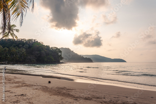 Beach and palm trees in the morning on the island