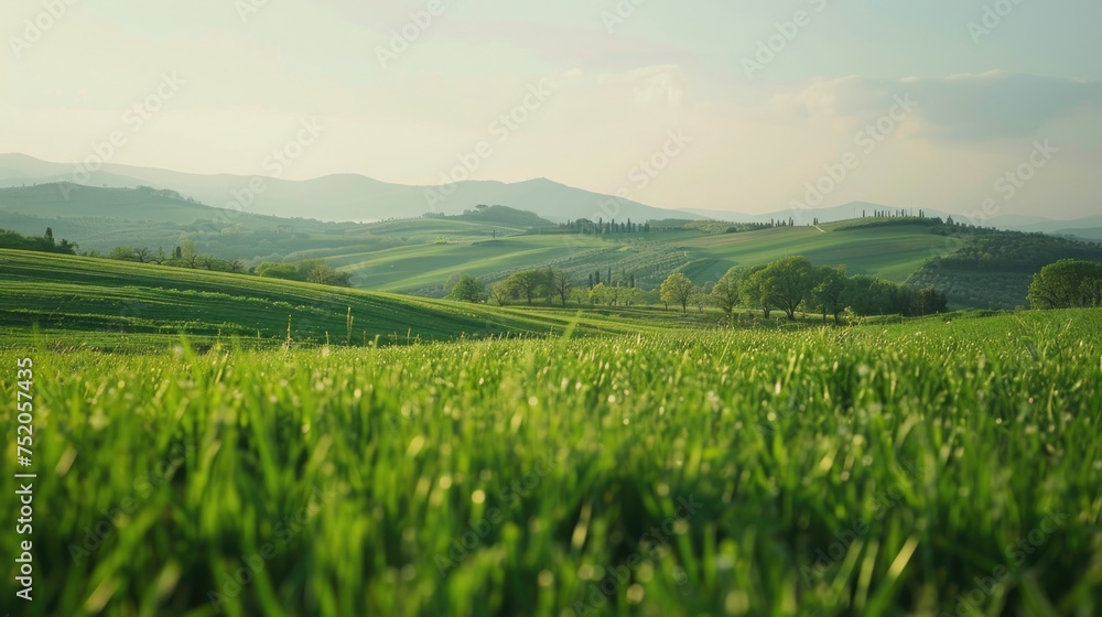 A serene landscape of green grass with rolling hills in the background. Perfect for nature and outdoor themes A serene landscape of green grass with rolling hills in the background. Perfect for nature and outdoor themes