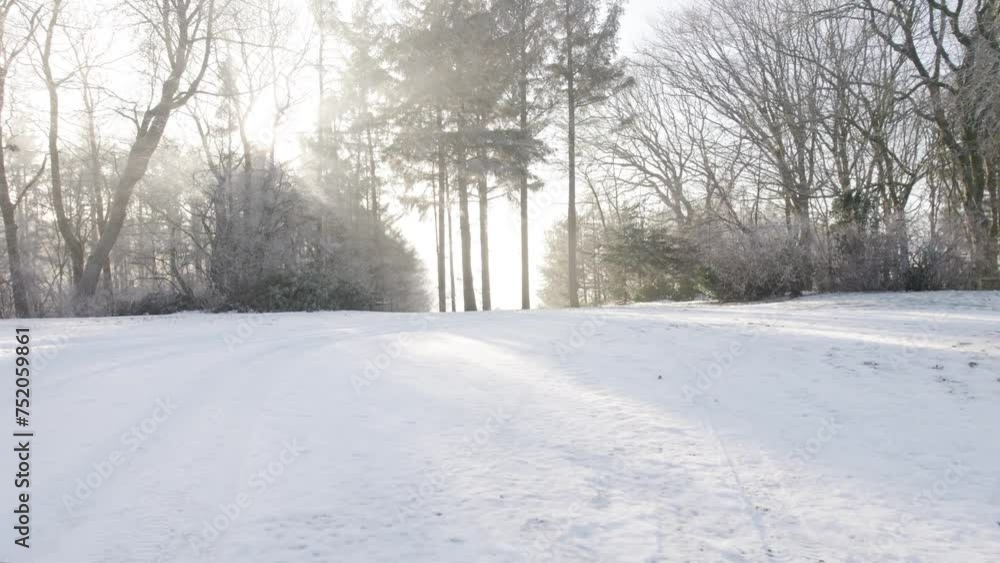 Traveling In Garden Covered By Snow and Surrounded By Trees at Low Altitude Traveling In Garden Covered By Snow and Surrounded By Trees at Low Altitude