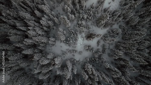 Berthoud Berthod Jones Pass aerial drone Winter wonderland Park Colorado snowy blizzard deep powder ski snowboarder backcountry Rocky Mountains National Forest birdseye view upward circle left motion photo