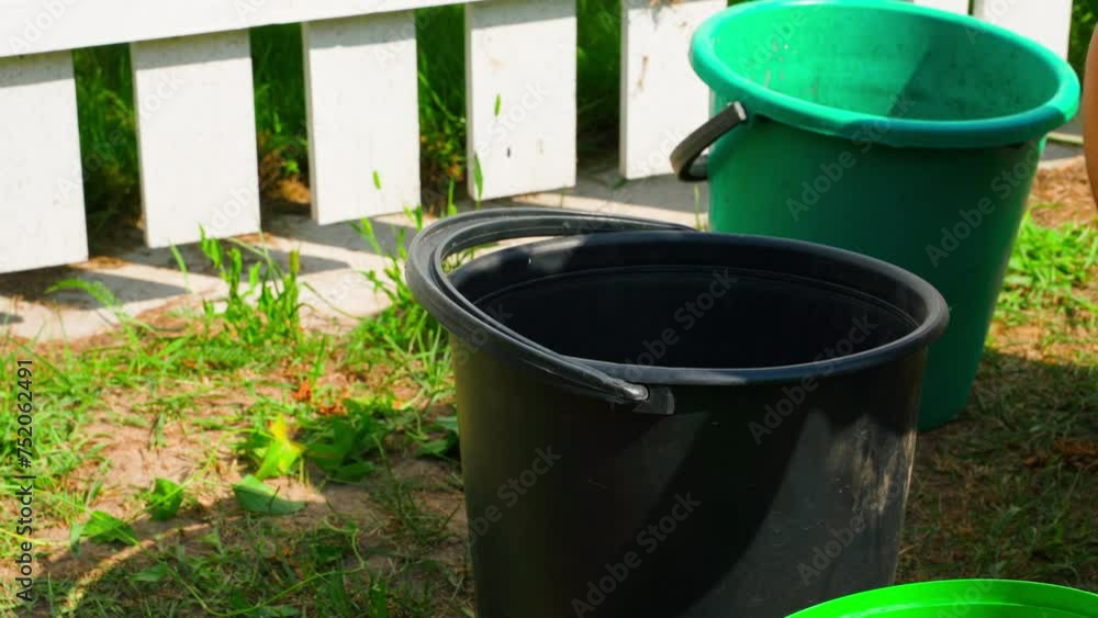 Putting potatoes into buckets in the vegetable garden. Sorting the harvest of yellow potatoes by size Putting potatoes into buckets in the vegetable garden. Sorting the harvest of yellow potatoes by size