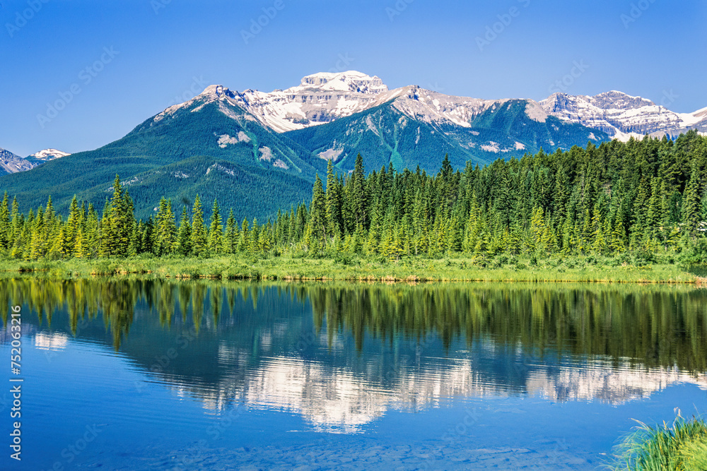 Mountain lake with a spruce forest in the Canadian rockies