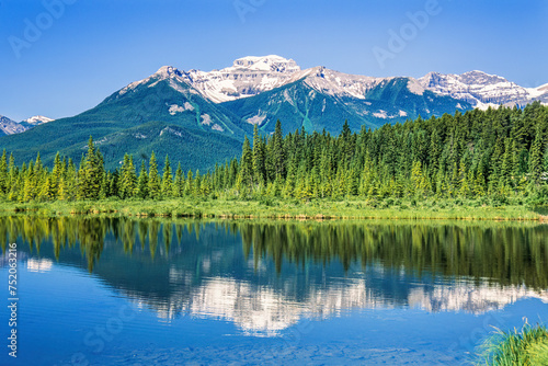 Mountain lake with a spruce forest in the Canadian rockies