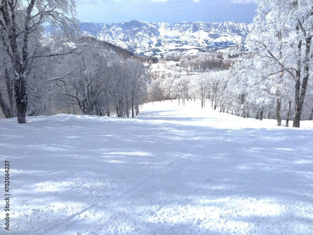 Obraz premium 野沢温泉スキー場・雪山の景色
