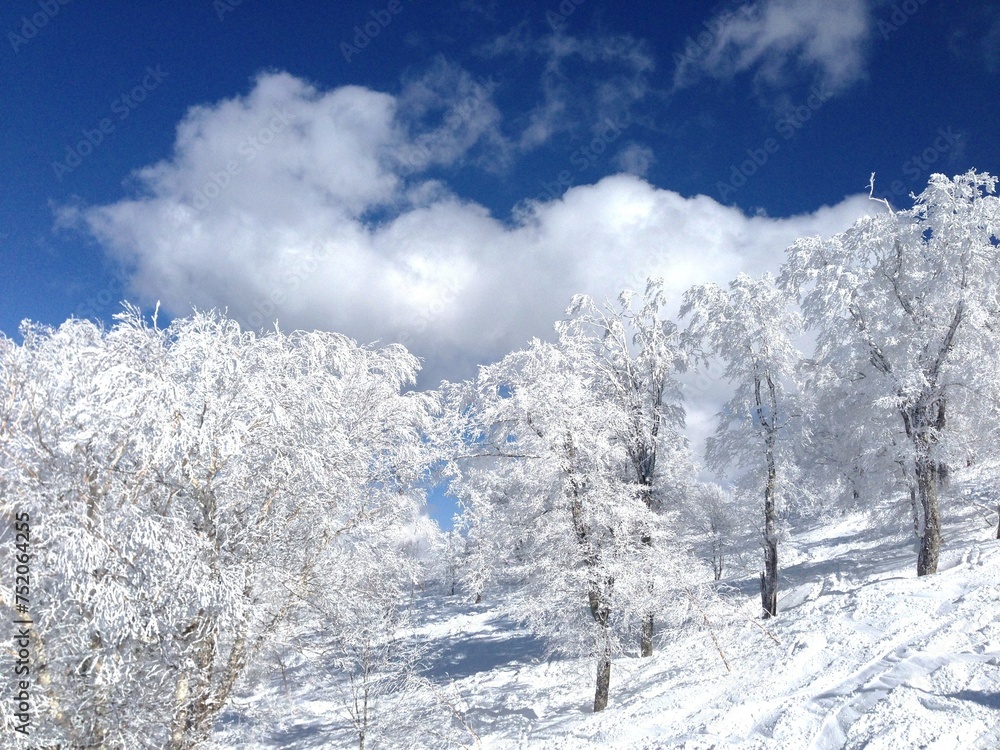 野沢温泉スキー場・雪山の景色