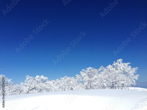 野沢温泉スキー場・雪山の景色