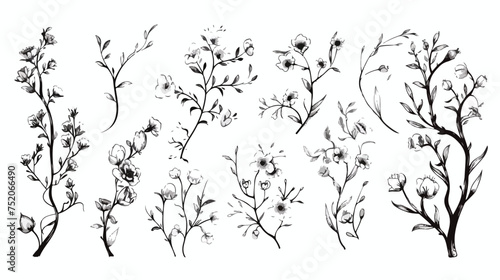 Doodle hand-drawn floral elements.