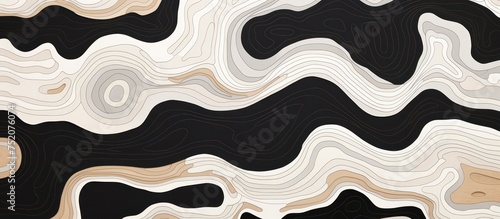 Black white texture with wavy lines, in the style of assemblage of maps