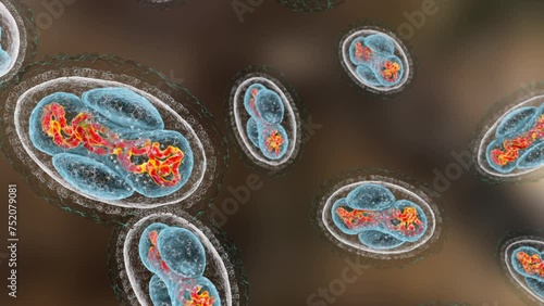 Smallpox viruses, animation photo