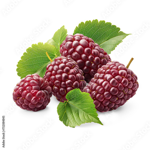 Fresh Mulberries pile on the floor, Healthy organic berry natural ingredients concept, AI generated, PNG transparency with shadow