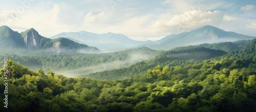 Serene Mountain Range with Sparse Trees Amidst Majestic Peaks and Verdant Forest