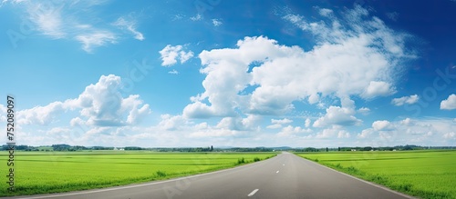 Tranquil Country Road Cutti...
