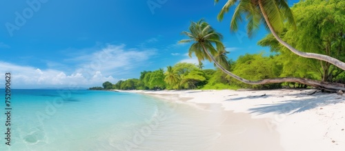 Tranquil Beach Scene with Lush Forest Oasis and Crystal Clear Turquoise Waters