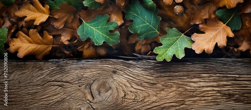 Natural Earth Tones: Close-...