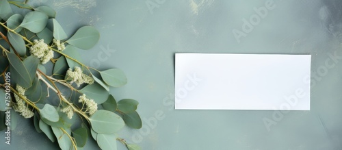 Tranquil Eucalyptus Scene: ...
