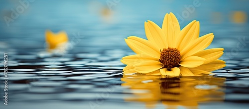 Vibrant Yellow Blossom Adri...