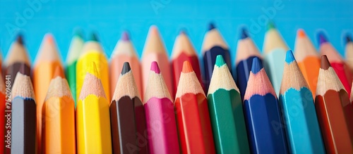Vibrant Colored Pencils in ...