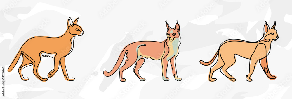 Fototapeta premium 3 Caracal Lineart-Illustrationen: Vektorgrafik-Bündel