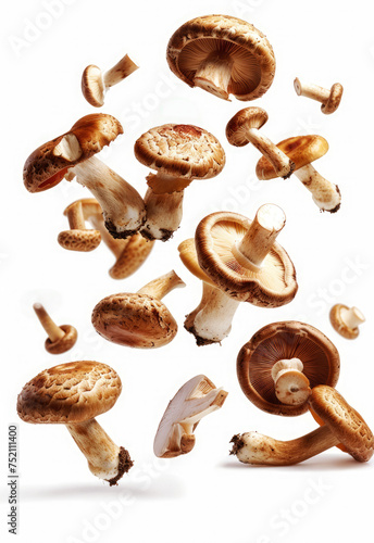 Mushrooms falling on white background