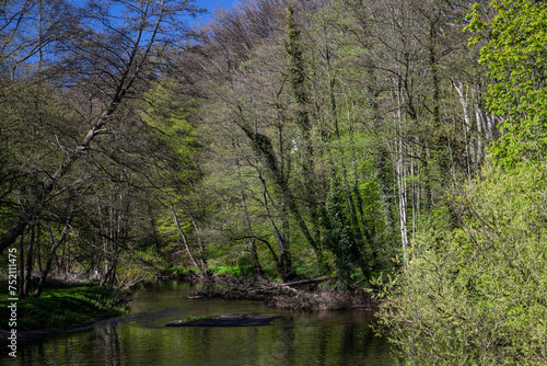 Nature at Upper Alster in Hamburg