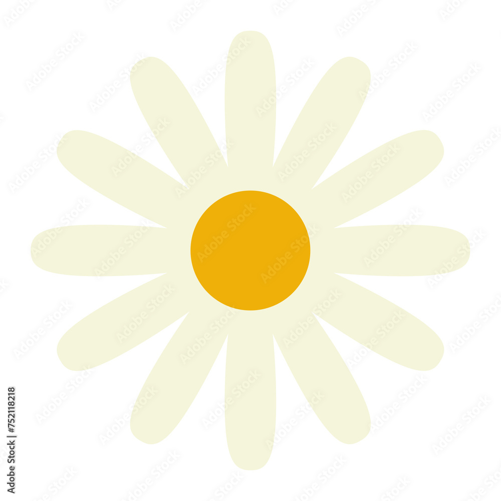 daisy vector illustration on transparent background daisy vector illustration on transparent background