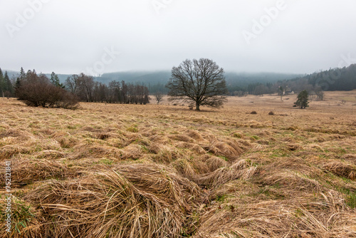 Novohradské hory, Czech Republic photo