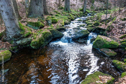 Novohradské hory, Czech Republic photo