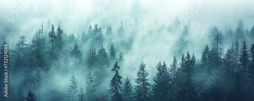 Enigmatic Reverie  Wallpaper Background Featuring a Fog-Covered Forest  Evoking Mystery and Intrigue