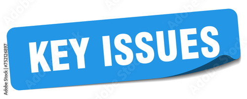 key issues sticker. key issues label