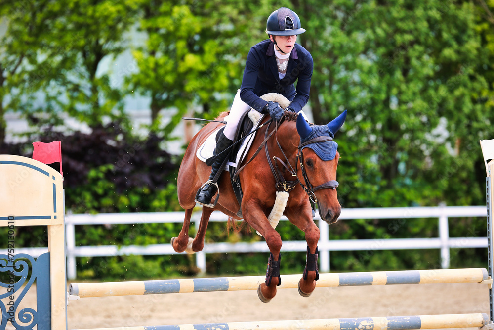 Horse show jumping horse with rider woman over the jump during a test in the show jumping competition. Horse show jumping horse with rider woman over the jump during a test in the show jumping competition.