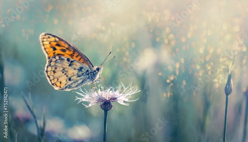 Spring background with butterflies, flowers and grasses