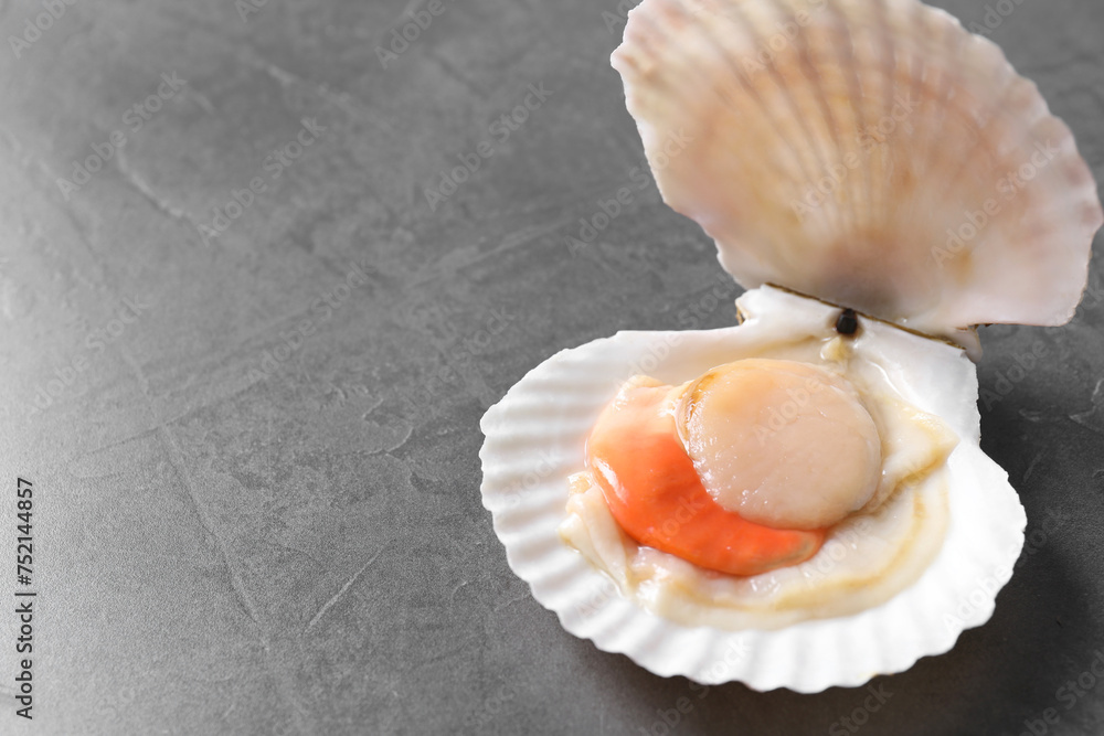 Fresh raw scallop with shell on grey table, closeup. Space for text Fresh raw scallop with shell on grey table, closeup. Space for text
