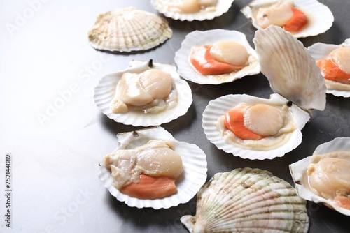 Fresh raw scallops with shells on grey table, closeup. Space for text