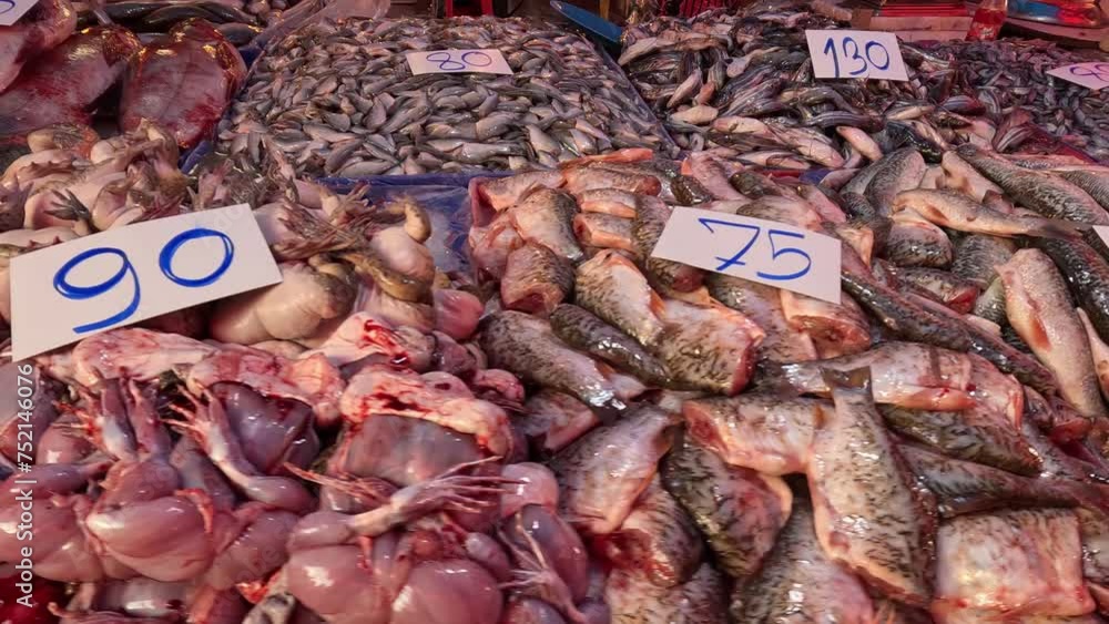 Fish Market Display Over Time Fish Market Display Over Time