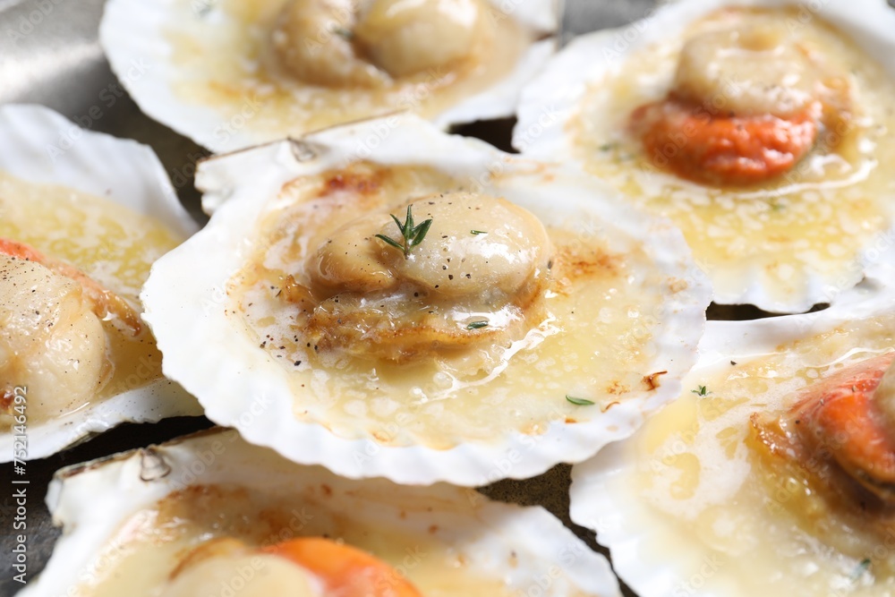 Fried scallops in shells on plate, closeup Fried scallops in shells on plate, closeup